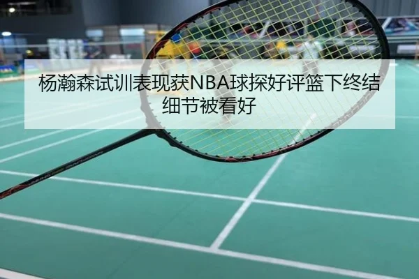 杨瀚森试训表现获NBA球探好评篮下终结细节被看好